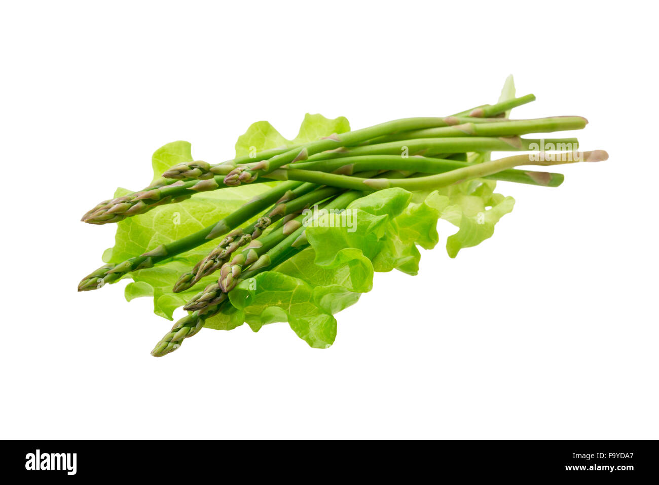Baby asparagus isolated Stock Photo Alamy