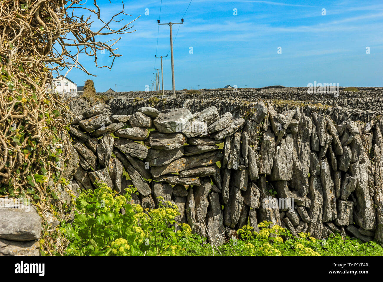 Aran islands inisheer hi-res stock photography and images - Alamy
