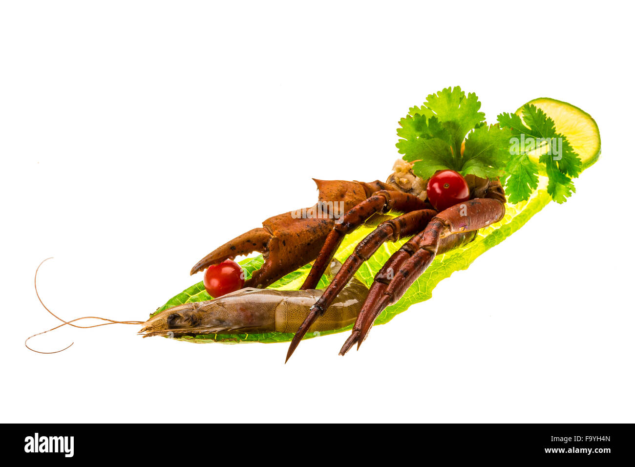 Crab legs studio macro shoot Stock Photo Alamy