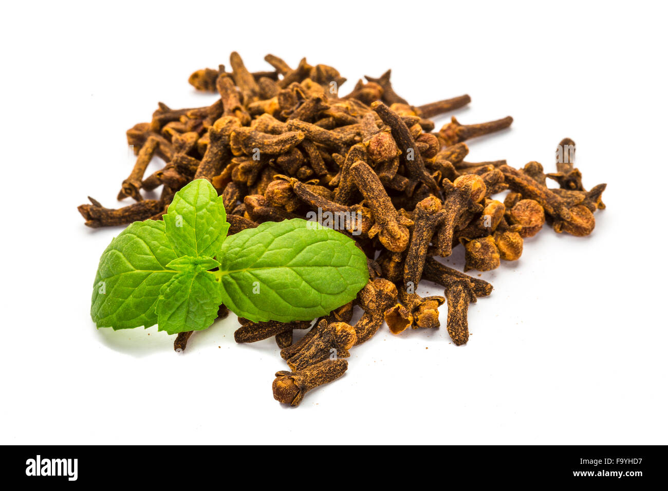 Carnation seed spice Stock Photo Alamy