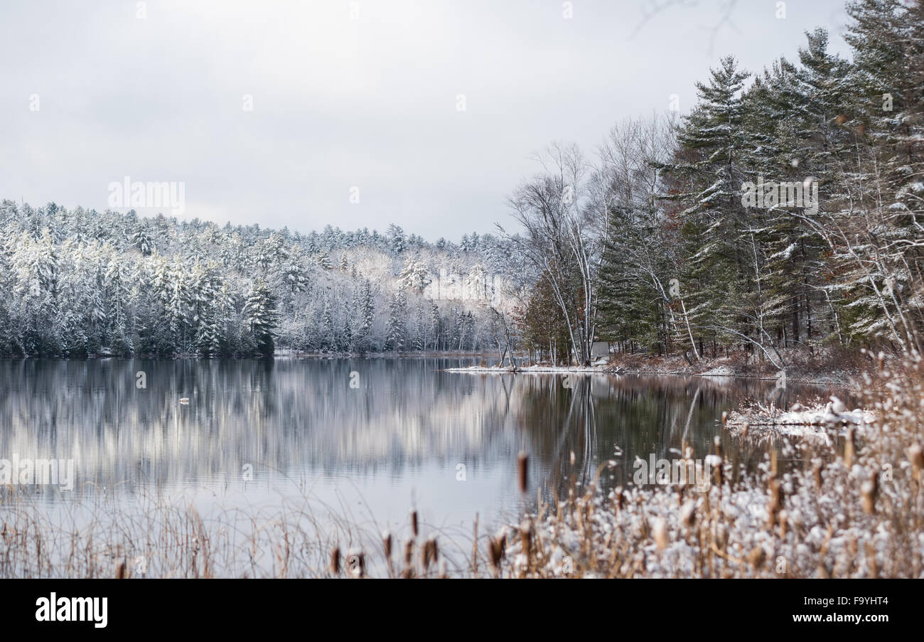 Winter forest reflections.  Mirage on a yet unfrozen lake. Stock Photo