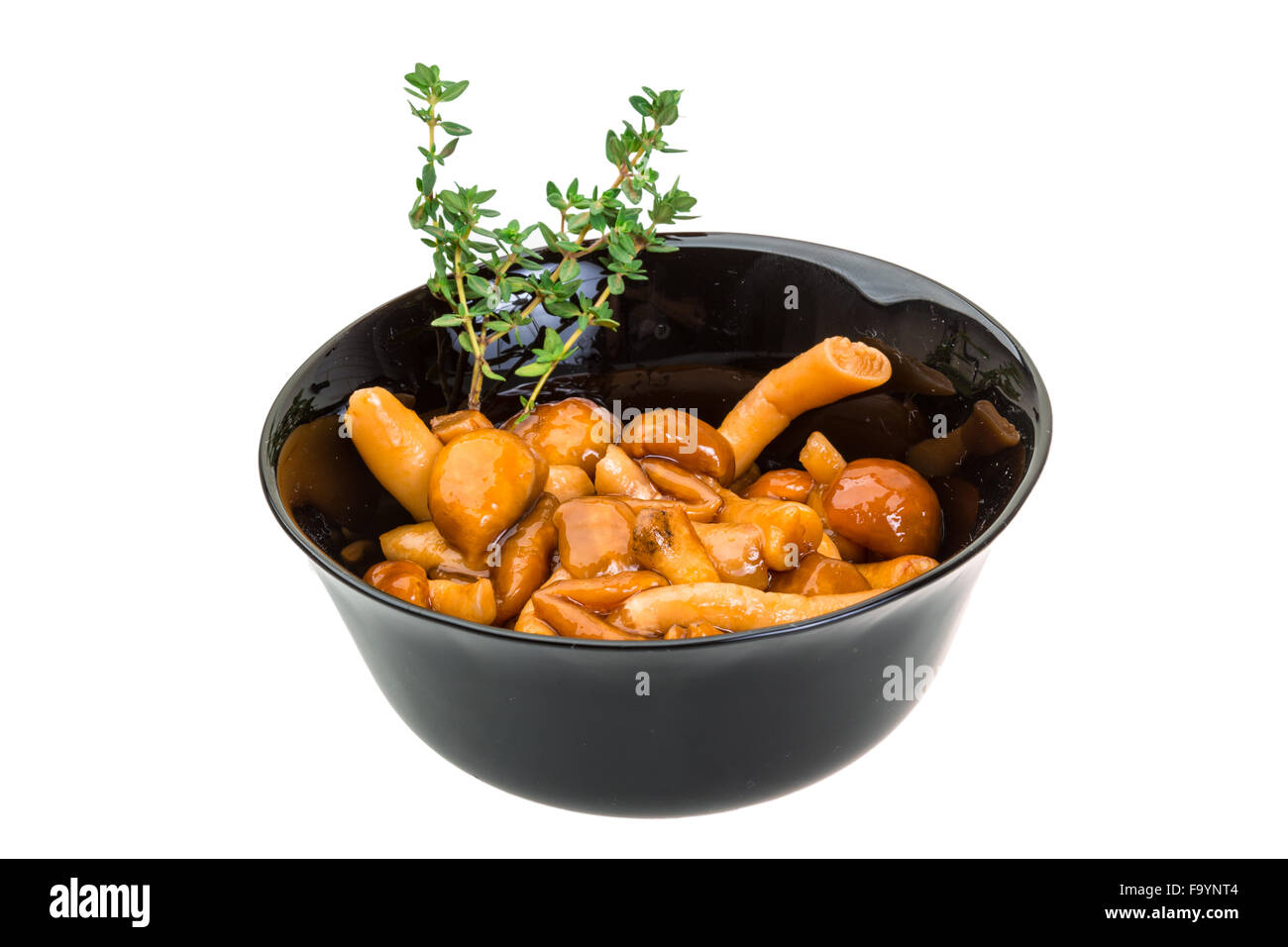 Armillaria - mushrooms in the bowl Stock Photo