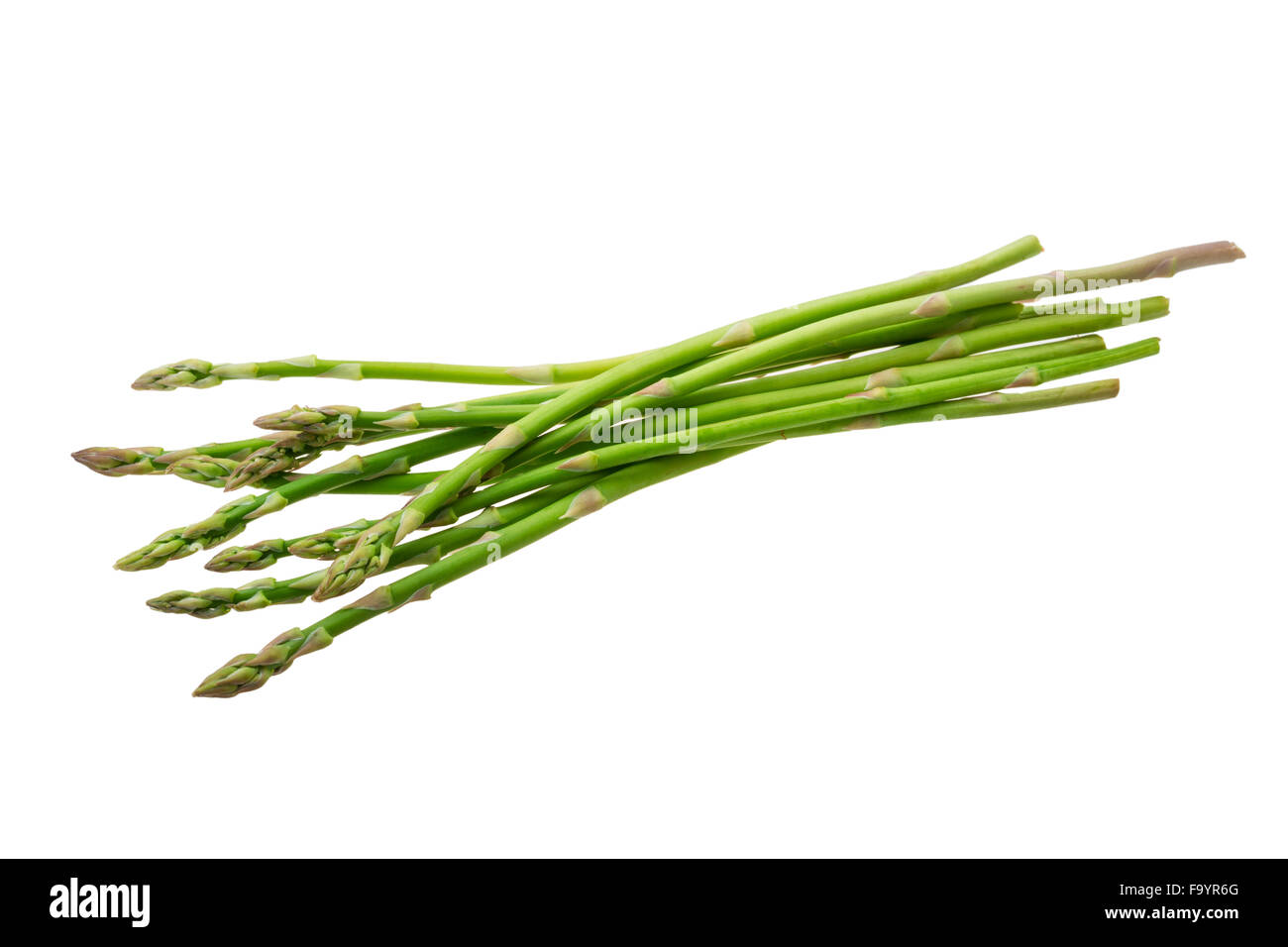 Baby asparagus isolated Stock Photo Alamy