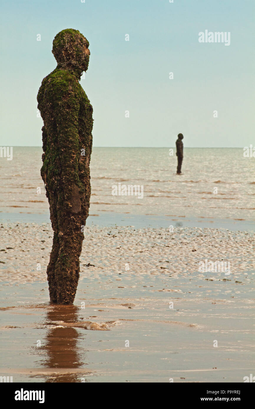 Iron Men, on Crosby Beach, coated in barnacles and algae at low tide
