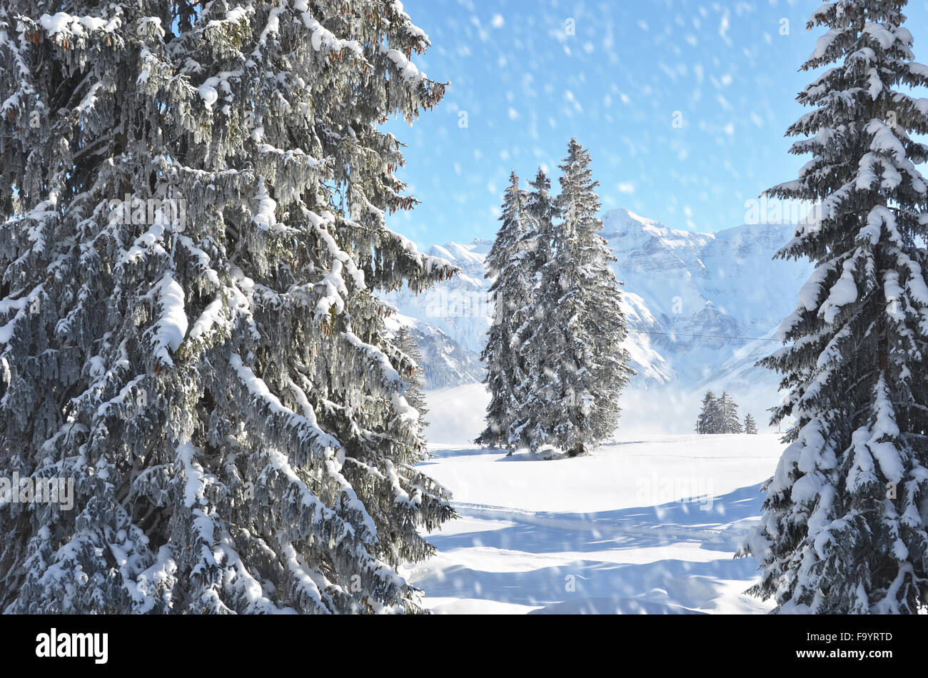 Winter in the Swiss Alps Stock Photo - Alamy