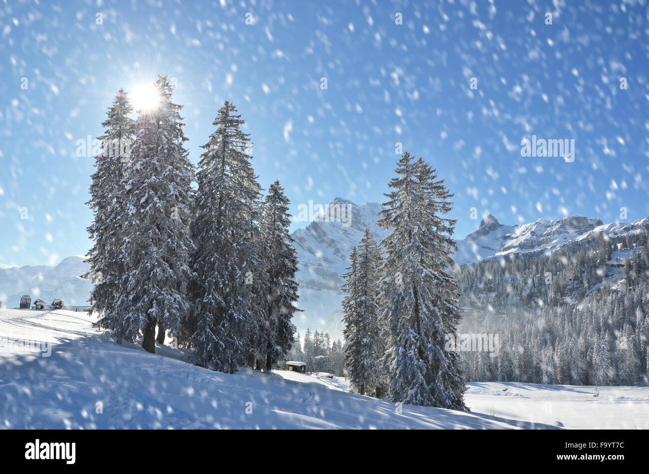 Winter in the Swiss Alps Stock Photo - Alamy