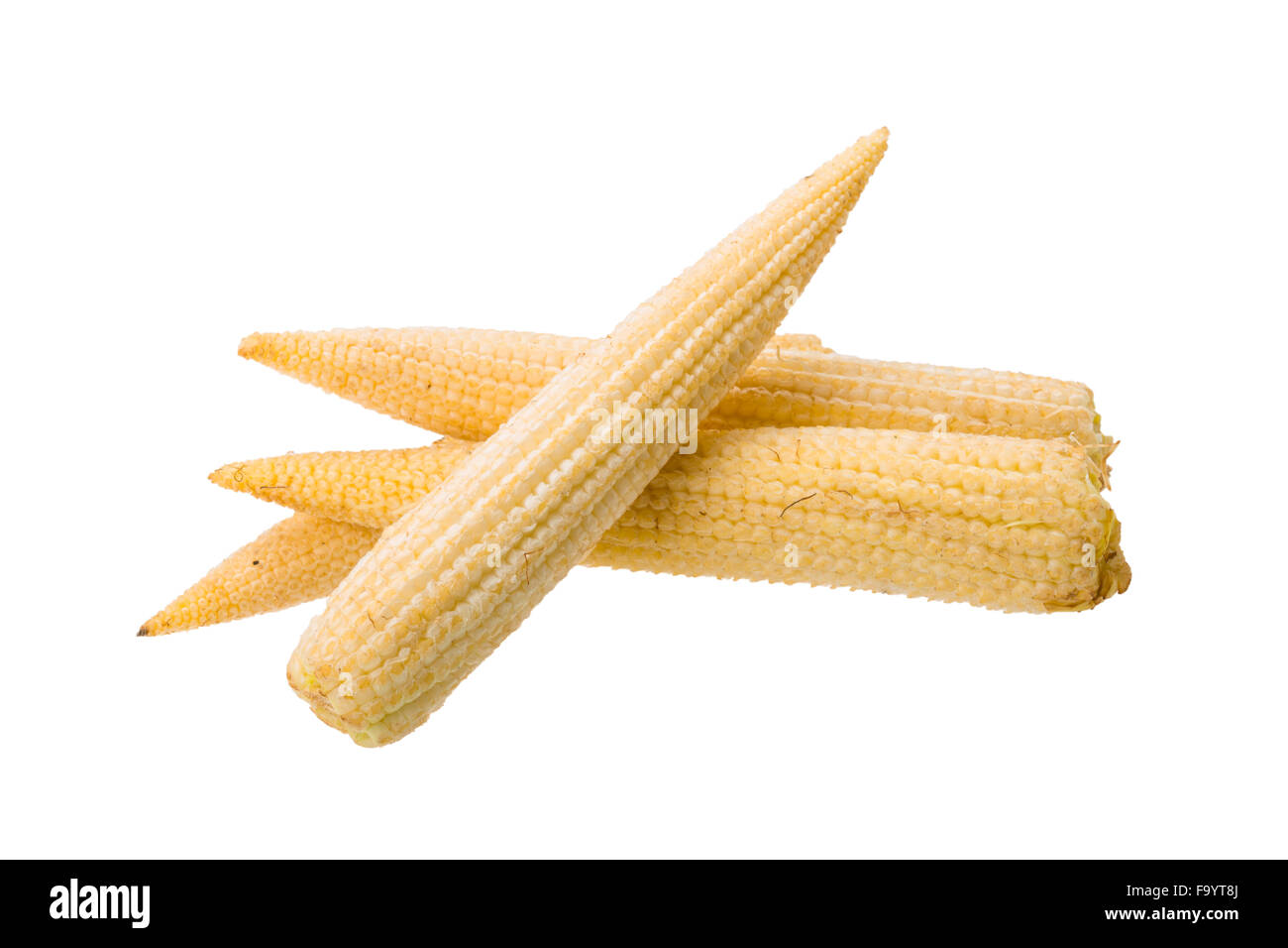 Baby corn isolated Stock Photo - Alamy
