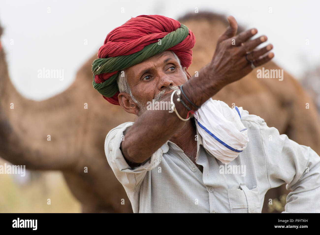 Camel Owner, Camel Fair, Pushkar Stock Photo - Alamy