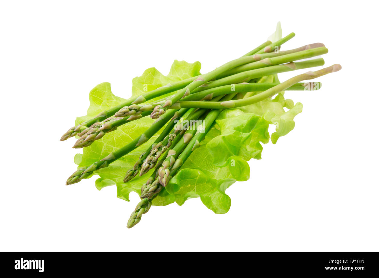 Baby asparagus isolated Stock Photo Alamy