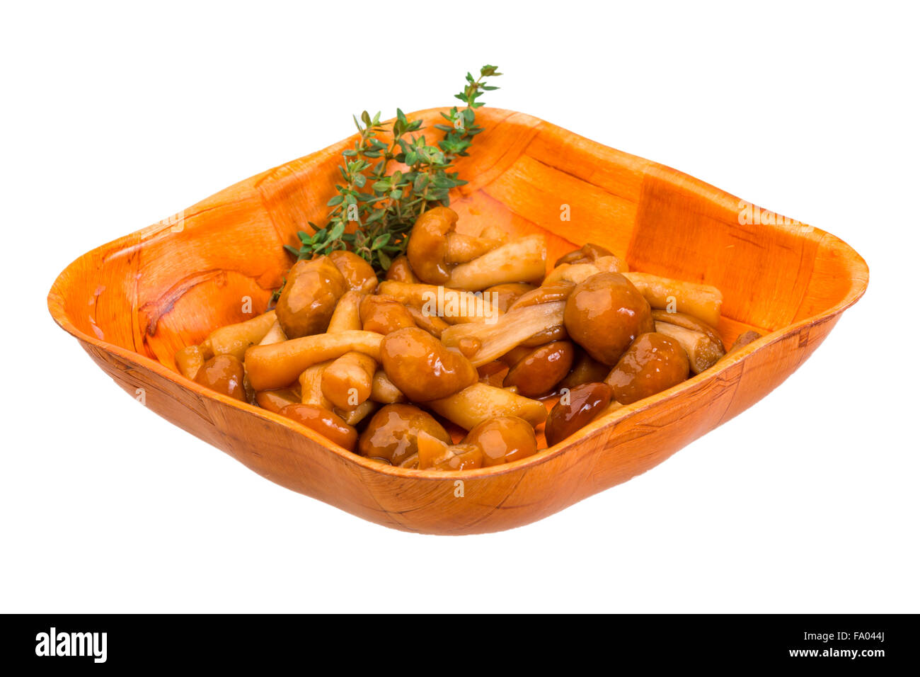 Armillaria - mushrooms in the bowl Stock Photo