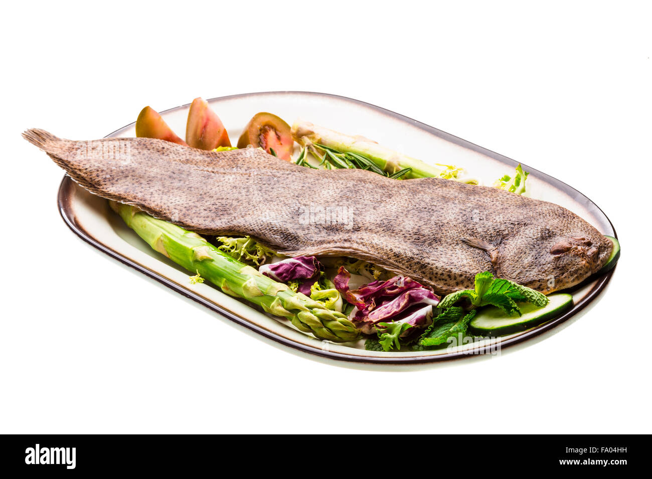 Fish Dover sole Stock Photo Alamy