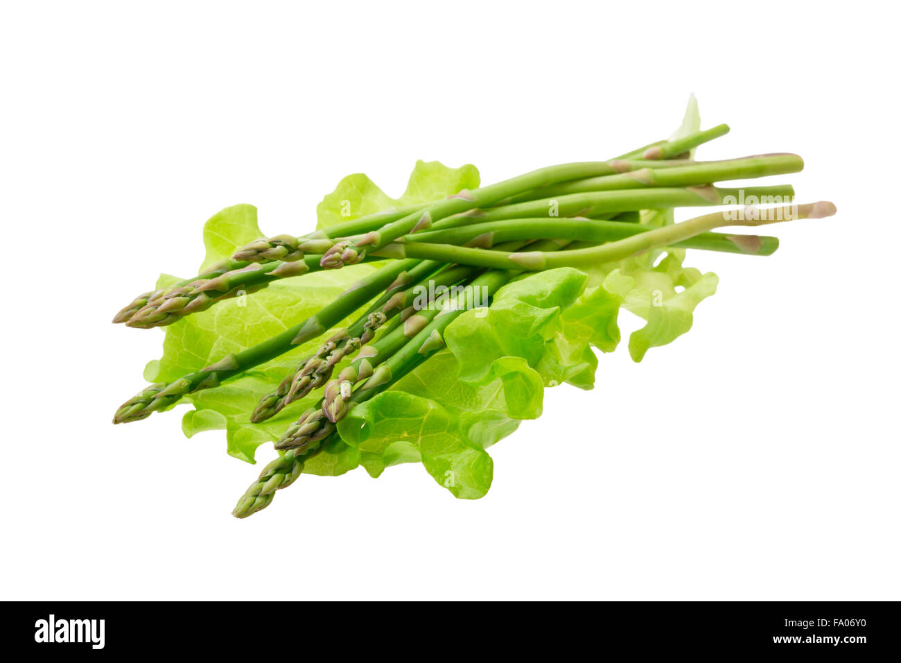 Baby asparagus isolated Stock Photo Alamy