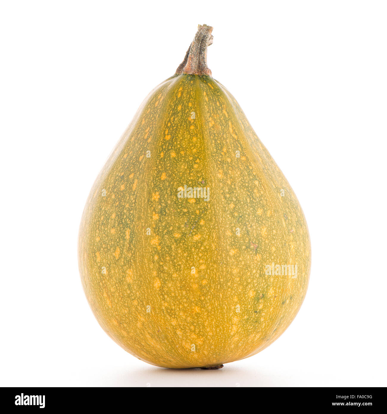 Pumpkin isolated on white background Stock Photo - Alamy