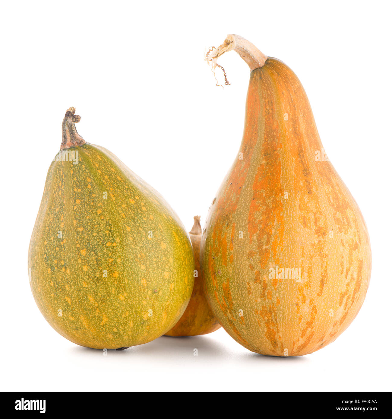 Pumpkins isolated on white background Stock Photo - Alamy