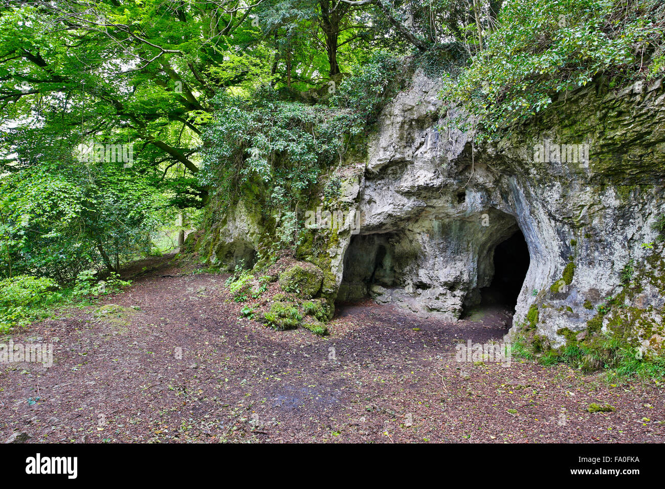 King Arthur's Cave; Herefordshire Wildlife Trust Reserve; The Doward; Herefordshire; UK Stock Photo