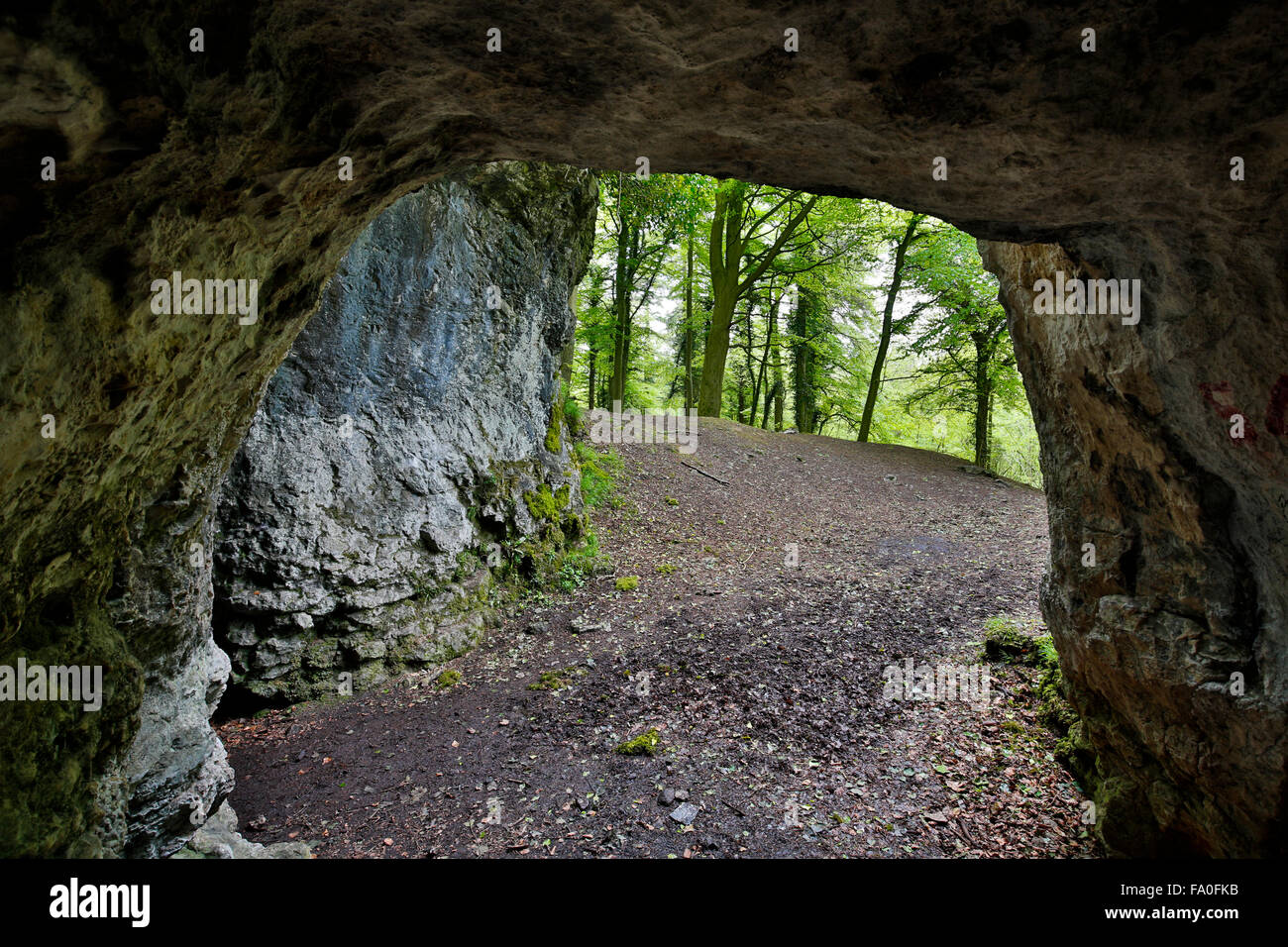 King Arthur's Cave; Herefordshire Wildlife Trust Reserve; The Doward; Herefordshire; UK Stock Photo