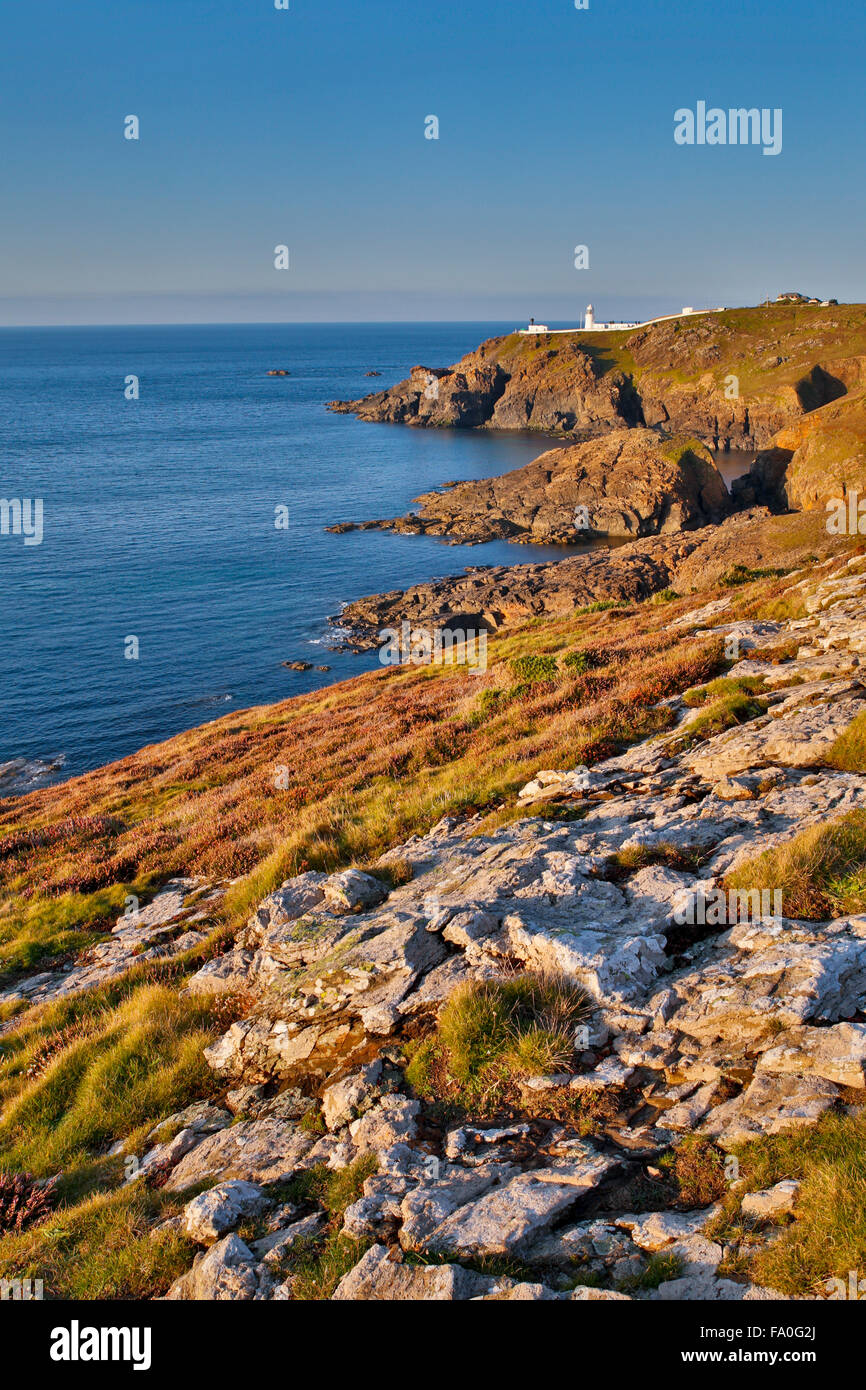 Pendeen Watch; Cliffs; Cornwall; UK Stock Photo
