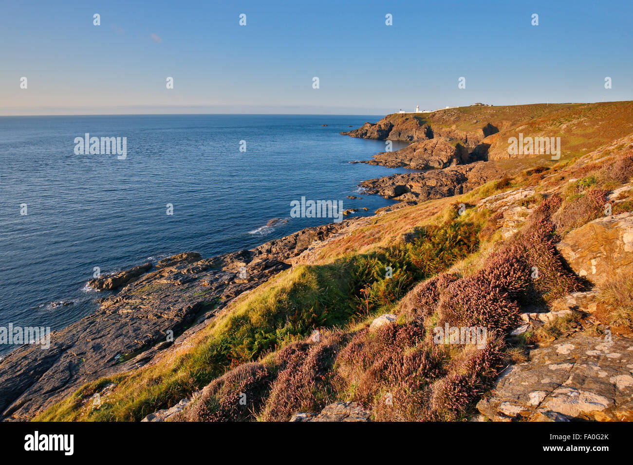 Pendeen Watch; Cliffs; Cornwall; UK Stock Photo