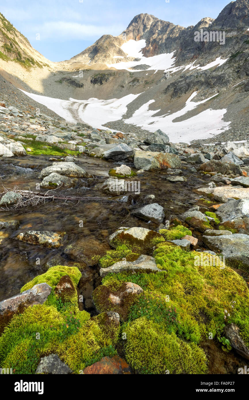 Fisher Creek and upper Fisher River Basin, North Cascades National Park