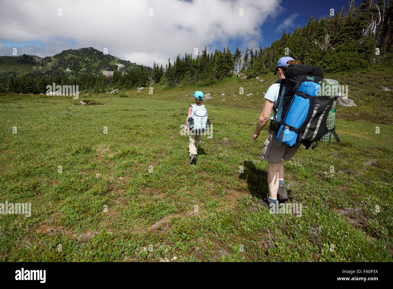 Female child and mother backpacking through meadow in Spray Park cross-country zone, Mount Rainier National Park, Washington Sta Stock Photo