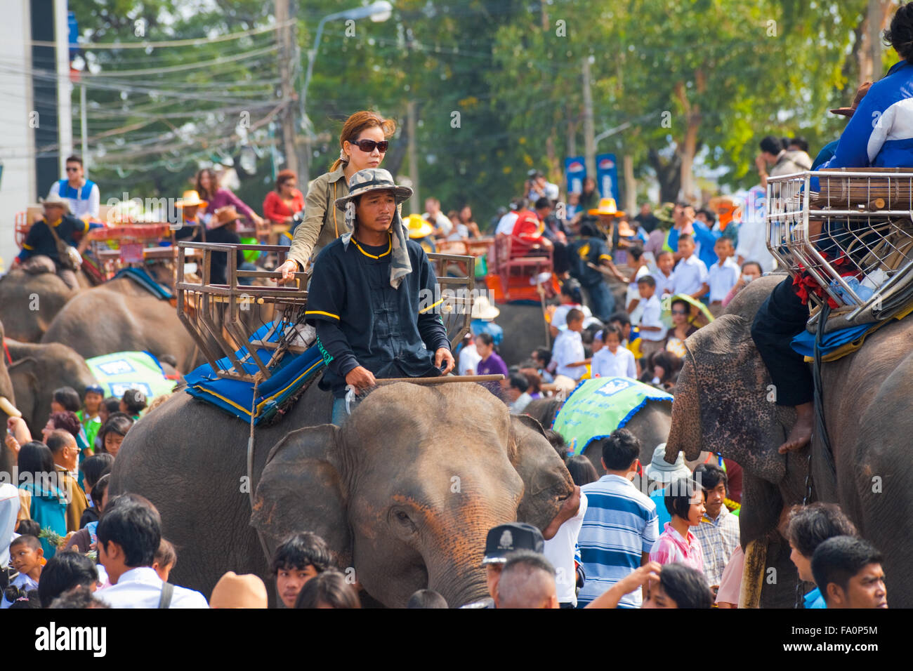 Female Thai passenger riding on elephant back in a large crowd of people and animals at the annual Surin Elephant Roundup Stock Photo