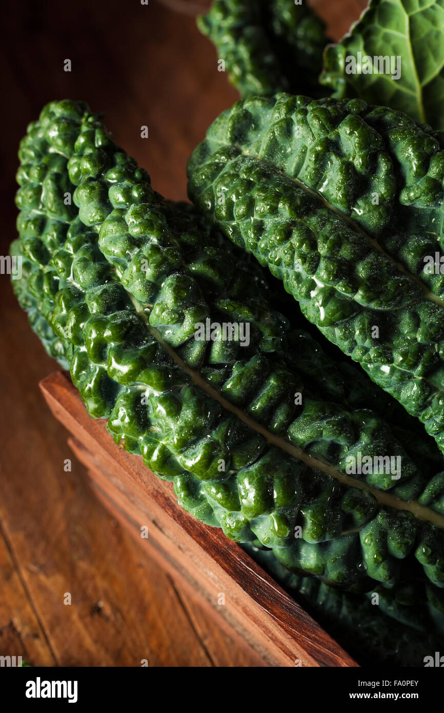 Organic Green Lacinato Kale Ready to Eat Stock Photo