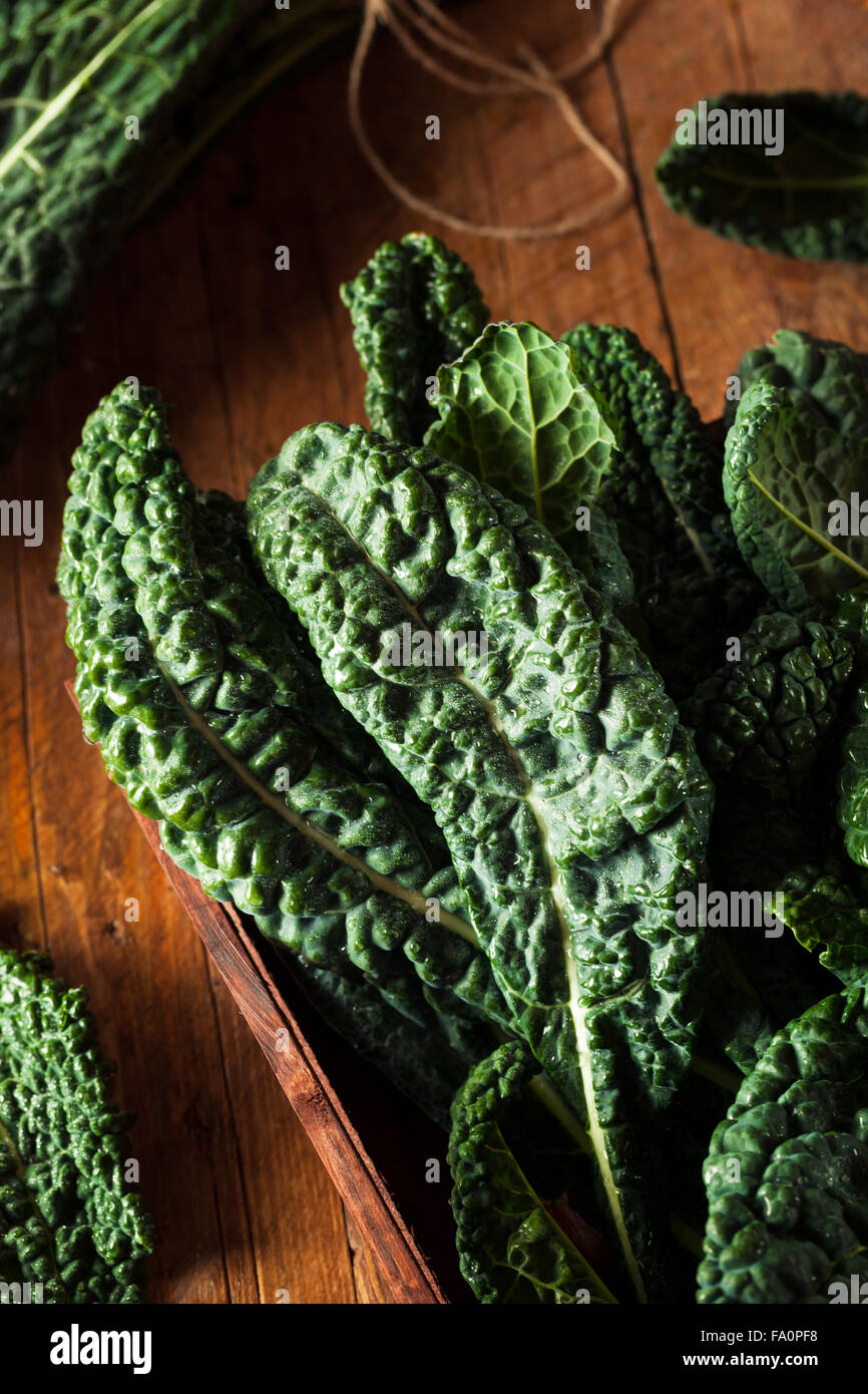 Organic Green Lacinato Kale Ready to Eat Stock Photo