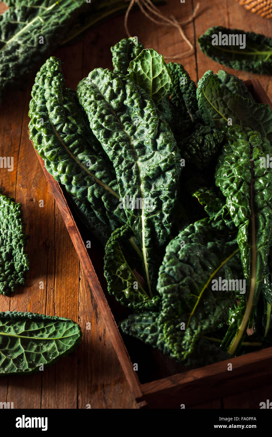 Organic Green Lacinato Kale Ready to Eat Stock Photo