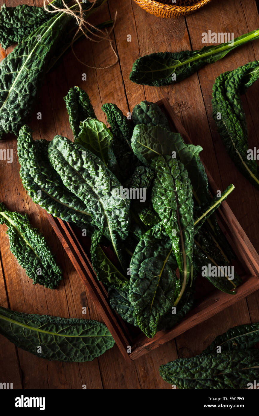 Organic Green Lacinato Kale Ready to Eat Stock Photo Alamy