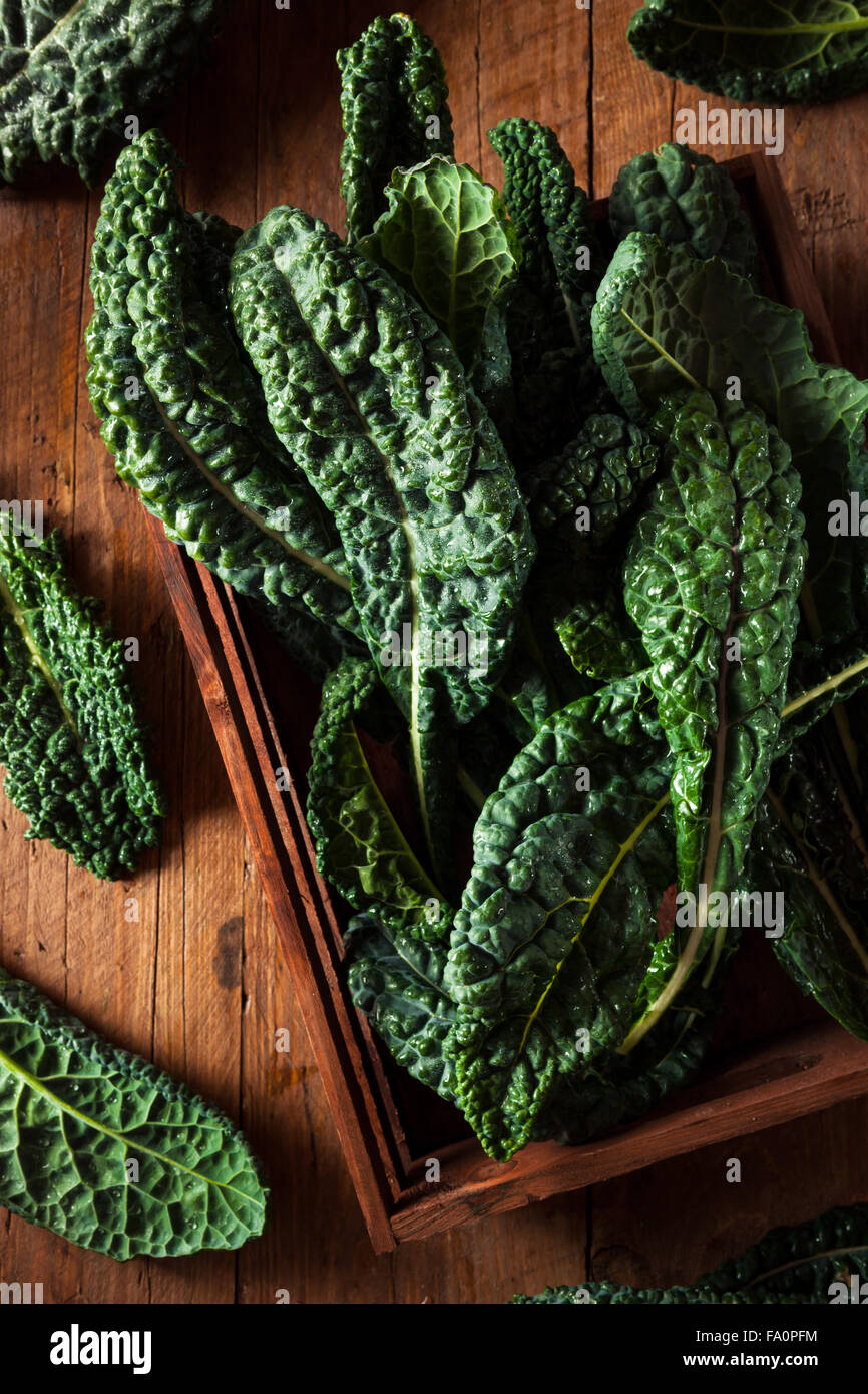 Organic Green Lacinato Kale Ready to Eat Stock Photo Alamy