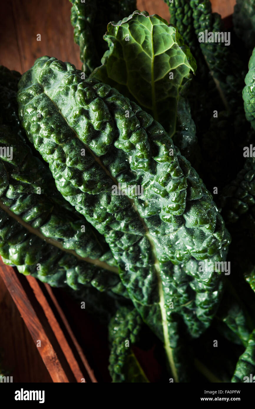 Organic Green Lacinato Kale Ready to Eat Stock Photo Alamy