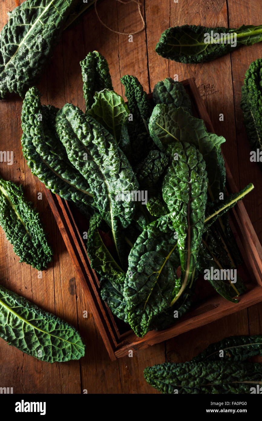 Organic Green Lacinato Kale Ready to Eat Stock Photo Alamy