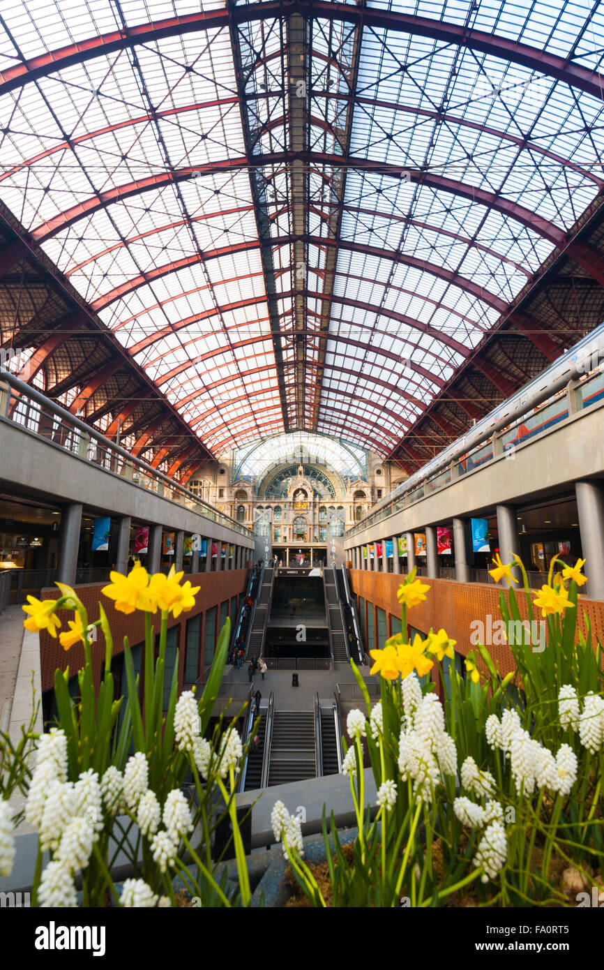 Flowers in foreground at Antwerp Central train station train tracks and