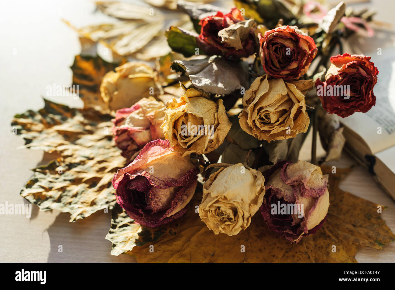 a bouquet is from the dried up roses Stock Photo