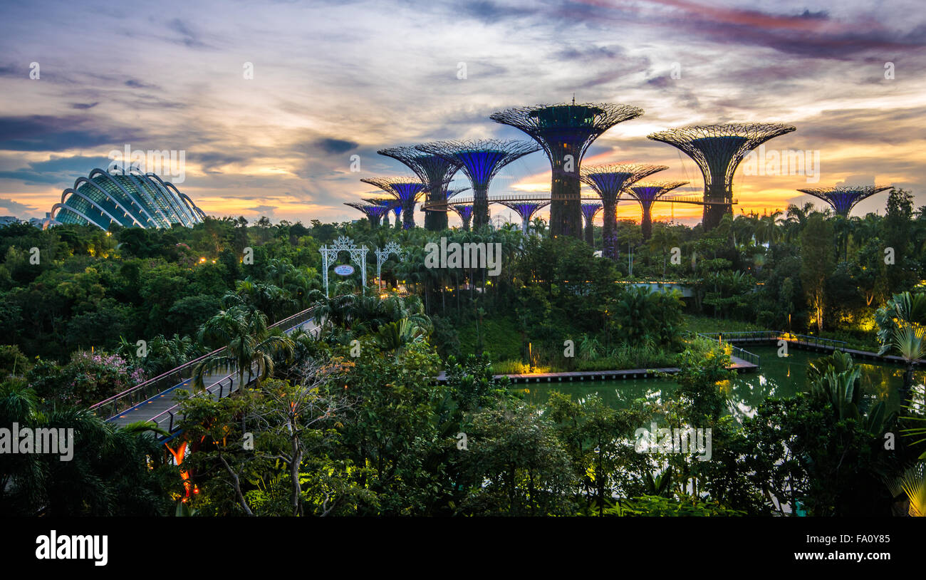 Supertree Grove and Cloud Forest at Gardens by the Bay, Singapore Stock Photo