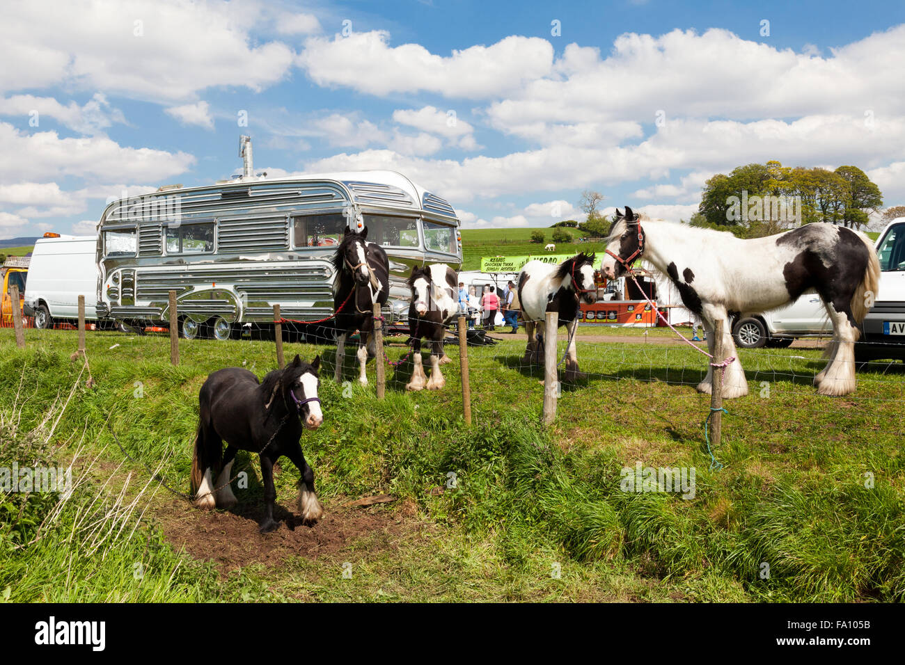 Appleby Horse Fair, Appleby-in-Westmorland, Cumbria, England, U.K. Stock Photo
