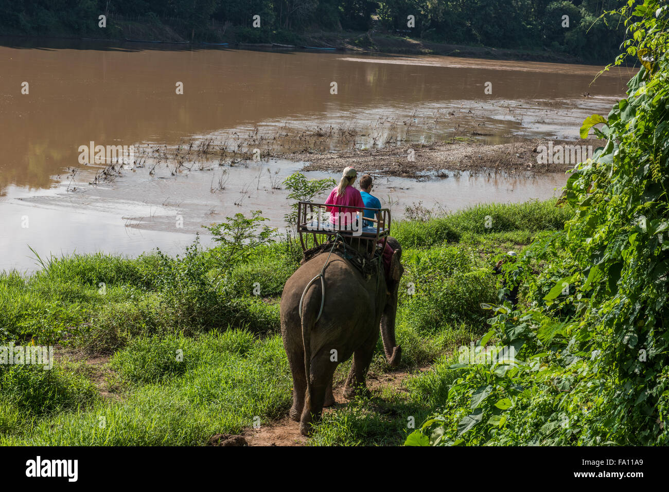 Elephant Ride in Luang Prabang Stock Photo