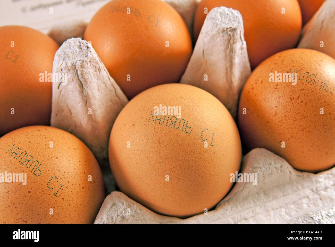 Fresh eggs with marking 'halal' in russian. Food produced according to Muslim laws Stock Photo
