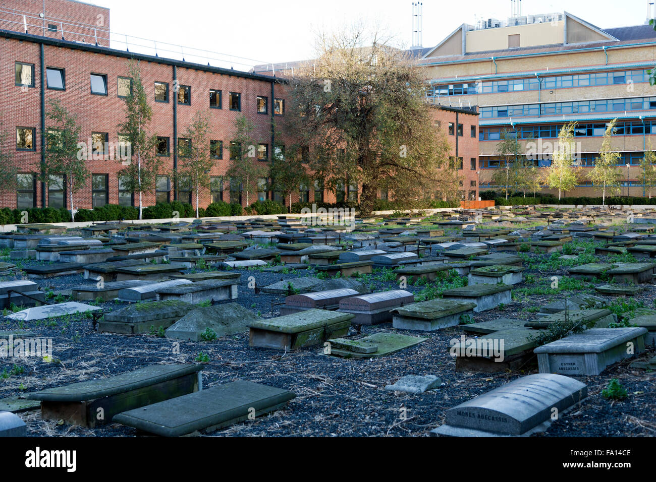 Portuguese cemetery hi-res stock photography and images - Page 3 - Alamy