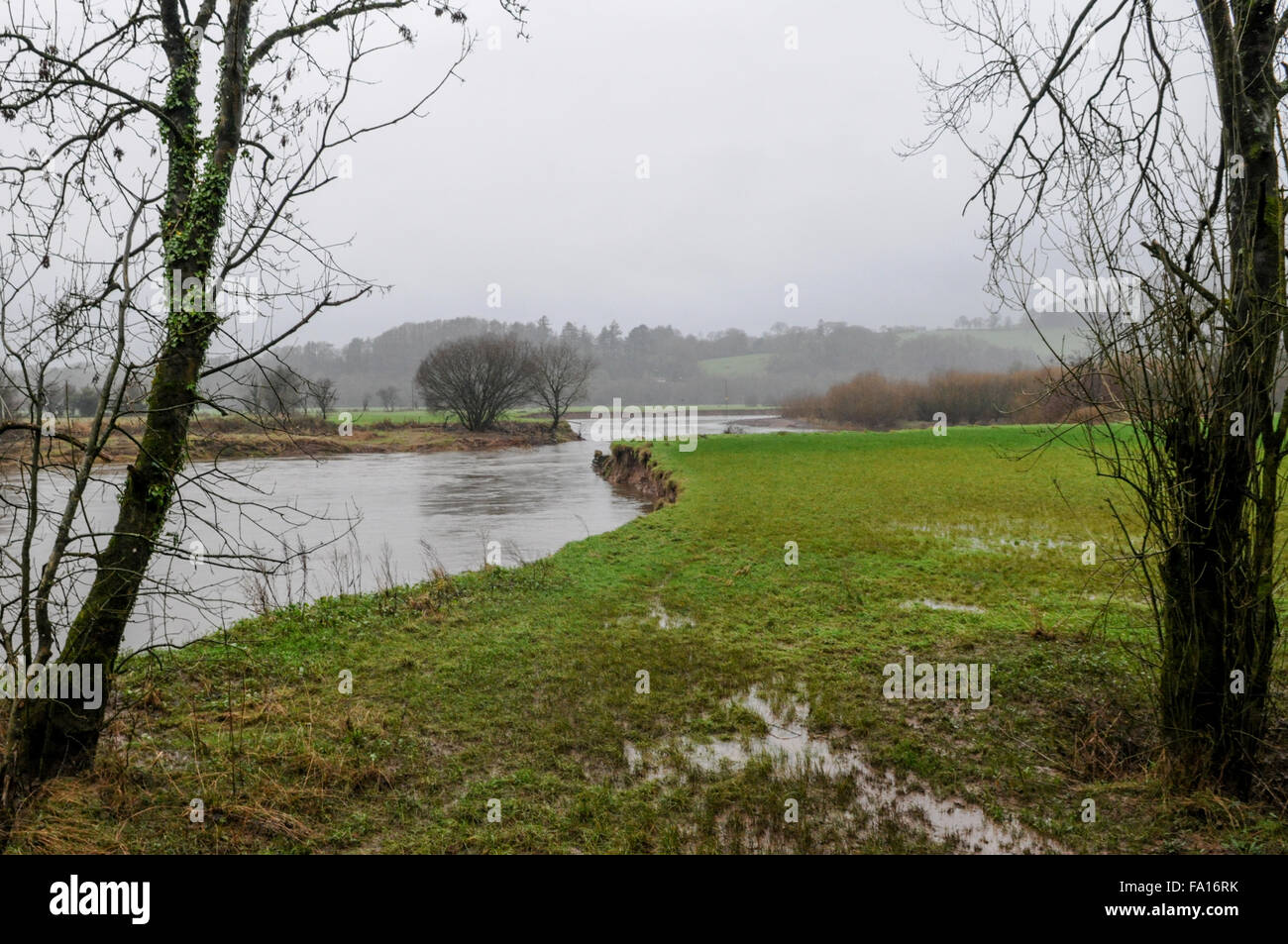 South Wales, UK, Tuesday 15th December 2015. The river Towy flows towards Carmarthen. Viewed from B4300. NOTE - Picture taken Tuesday 15th December 2015. Image is one of two. Prior to flooding. Credit:  Algis Motuza/Alamy Live News Stock Photo