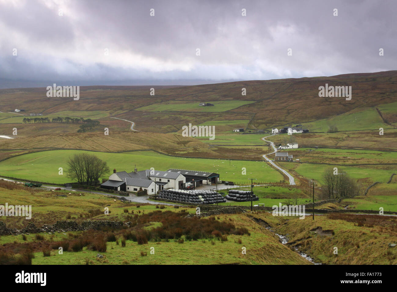 Harwood in upper Teesdale Stock Photo