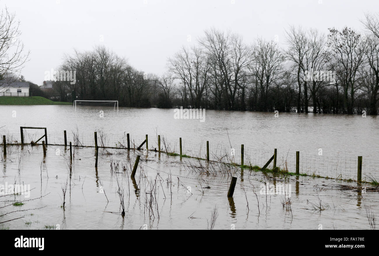 South Wales, UK, Saturday 19th Heavy rain continues to fall around Carmarthenshire following Met Office Yellow warning for Saturday. The river Towy bursts its banks flooding surrounding farmland near Carmarthen, south Wales, UK. A local playing field near Abergwili is submerged. Credit:  Algis Motuza/Alamy Live News Stock Photo