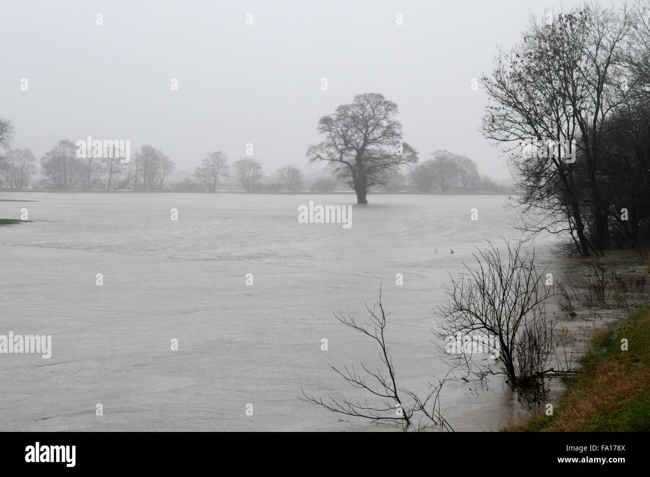 South Wales, UK, Saturday 19th December 2015. Heavy rain continues to fall around Carmarthenshire following Met Office Yellow warning for Saturday. Areas of low lying agricultural land are flooded after the river Towy bursts its banks near Carmarthen, south Wales, UK. Viewed from B4300. Credit:  Algis Motuza/Alamy Live News Stock Photo