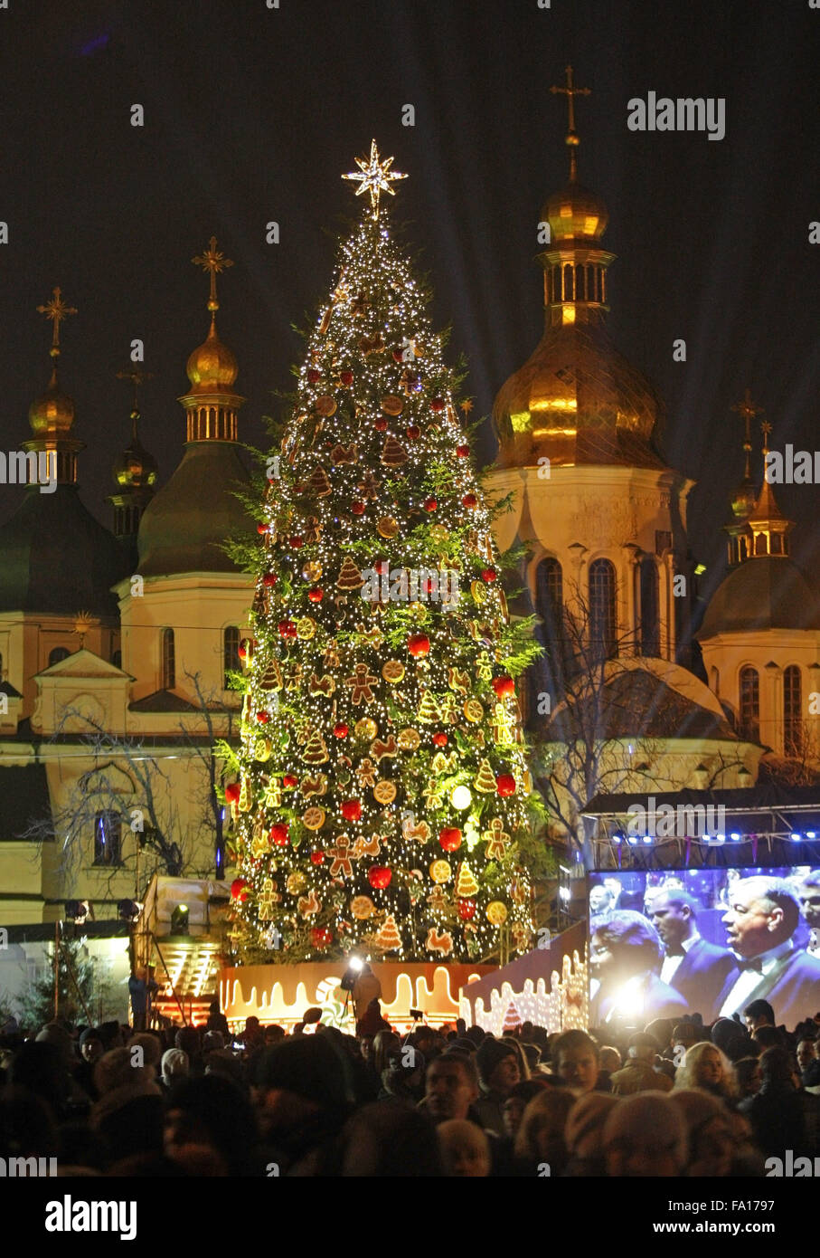Kiev, Ukraine. 19th Dec, 2015. The main Ukrainian Christmas Tree has