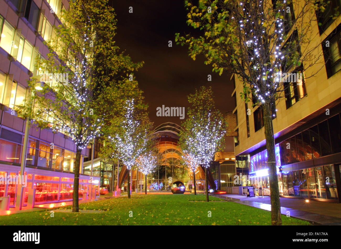 Sheffield winter garden night hi-res stock photography and images - Alamy