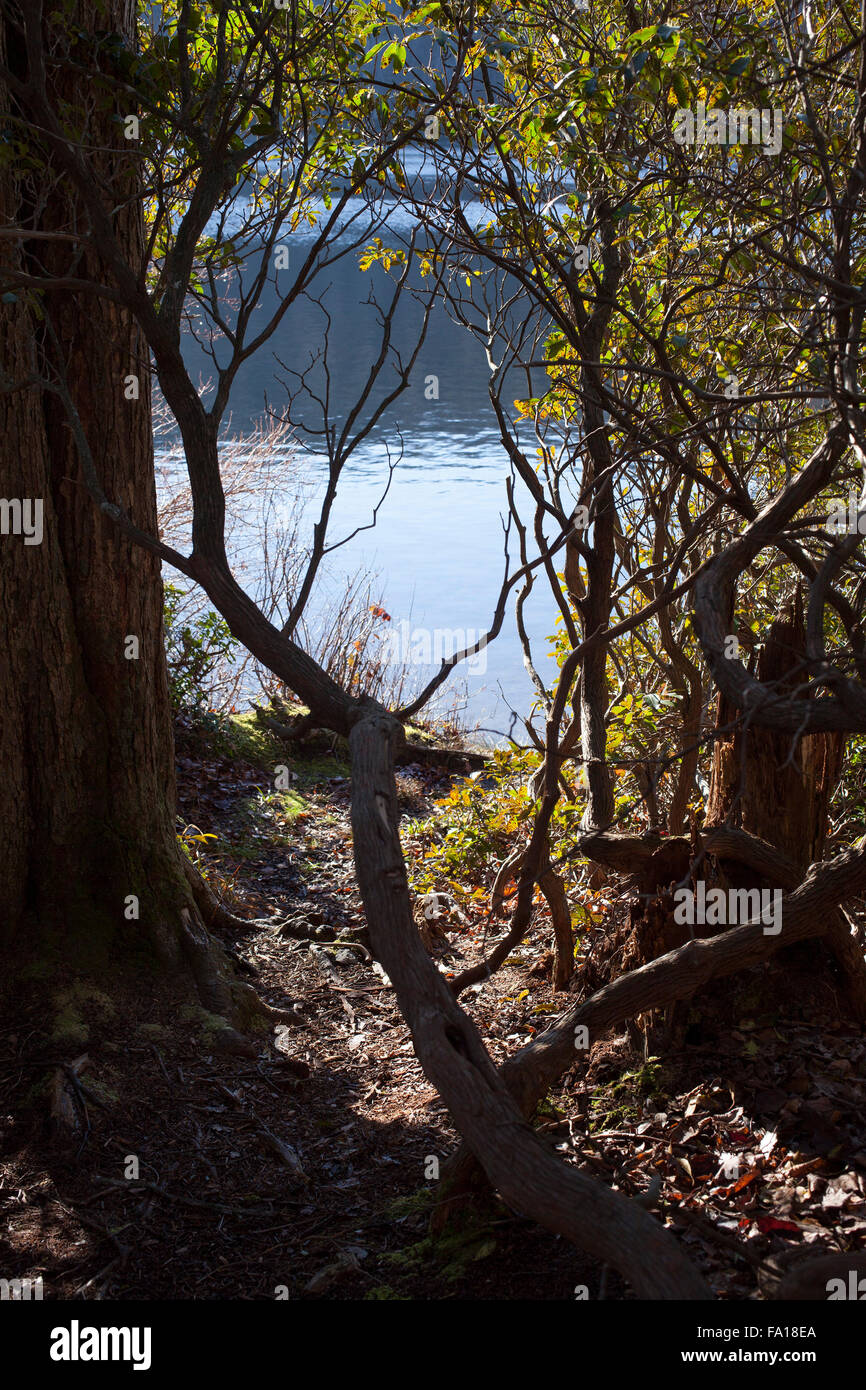 Mountain pond in late fall season, Savoy, Massachusetts. Stock Photo