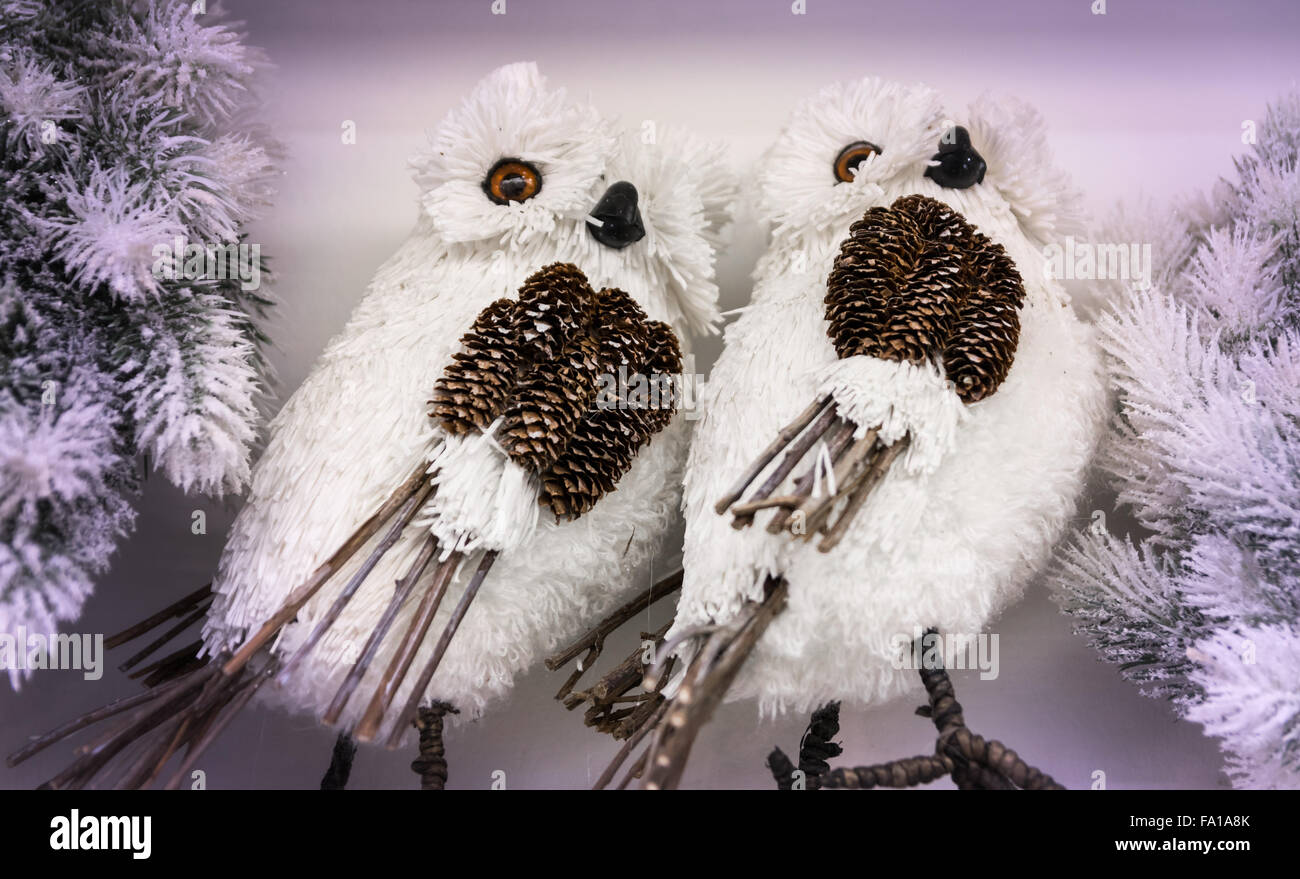 Birds Of Prey In The UK - Wise Owl Blog by Love Garden Birds