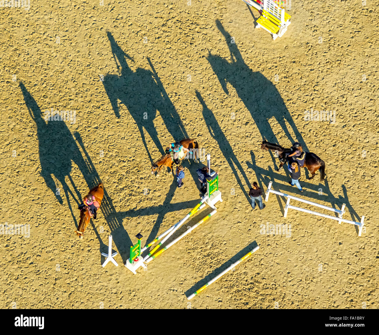 Obstacle Training with long shadows, riding facilities, Reiterhof Rhynern, riders, horses, barriers, Hamm, Ruhr area, Stock Photo