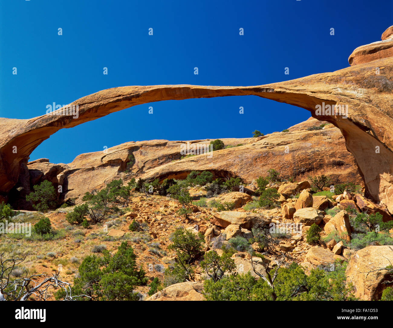landscape arch in arches national park near moab, utah Stock Photo