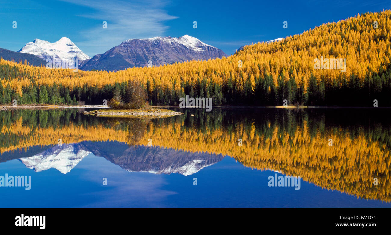 panorama of fall colors and distant peaks of glacier national park reflected in stanton lake in the great bear wilderness near west glacier, montana Stock Photo